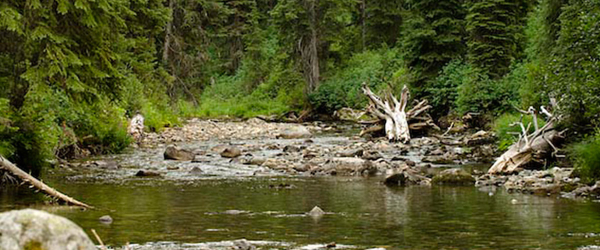 Lewis and Clark Lolo Trail Bike Trip Western Spirit Cycling