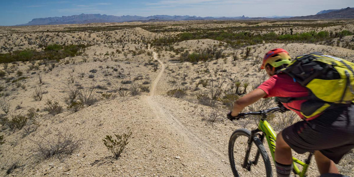 Big Bend Chihuahuan Desert Tour