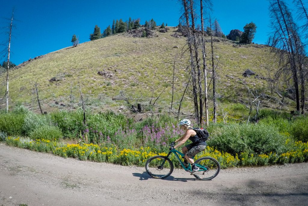 Lewis and Clark Lolo Trail Bike Trip Western Spirit Cycling