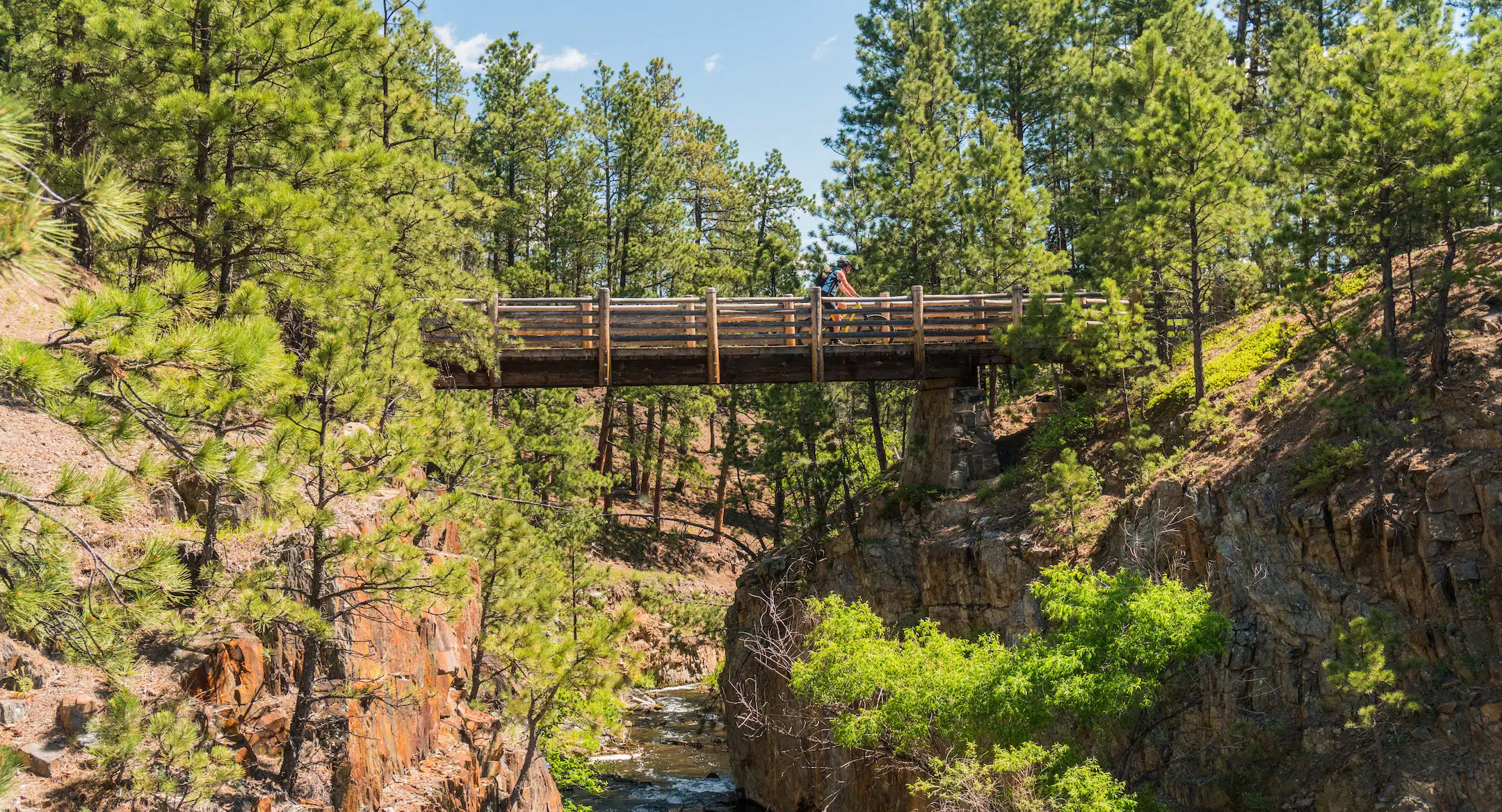 Mickelson Trail Through the Black Hills
