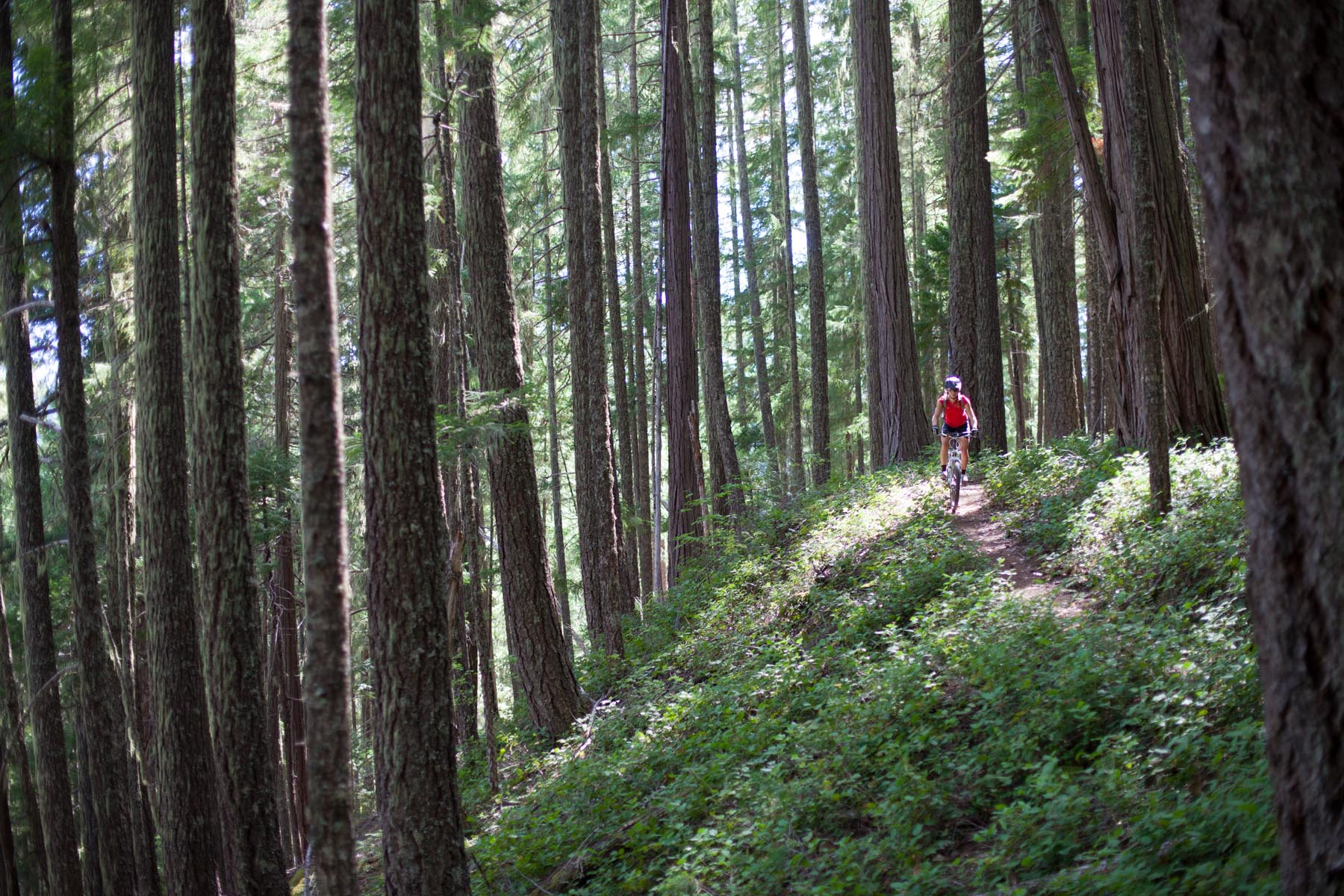 Lewis & Clark Lolo Trail 5-Day BikeTrip