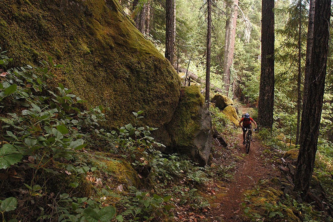 North Umpqua River Trail 5-Day Tour